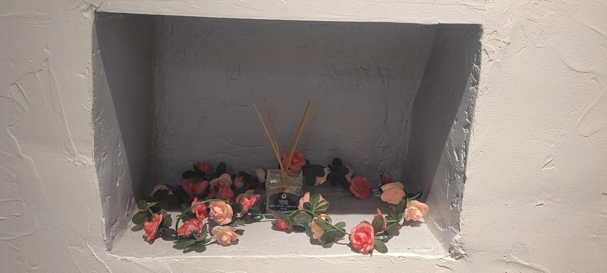Parfum Rose Apartment Grasse Bagian luar foto